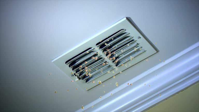 Best Local Air Duct Cleaning Services  in Pacific, MO