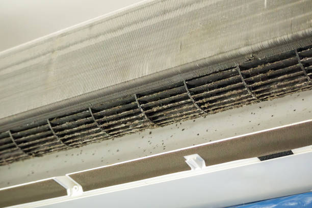 Best Emergency Air Duct Cleaning  in Pacific, MO